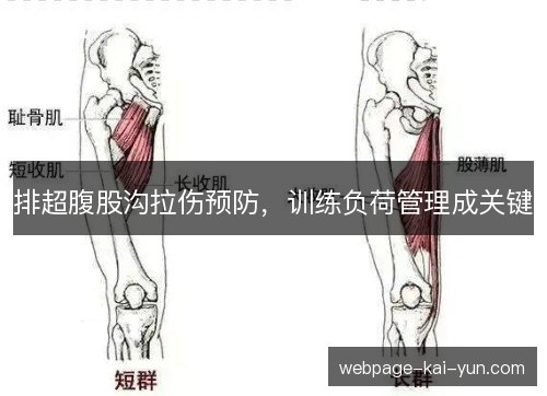 排超腹股沟拉伤预防,训练负荷管理成关键 排超腹股沟拉伤预防,训练负荷管理成关键